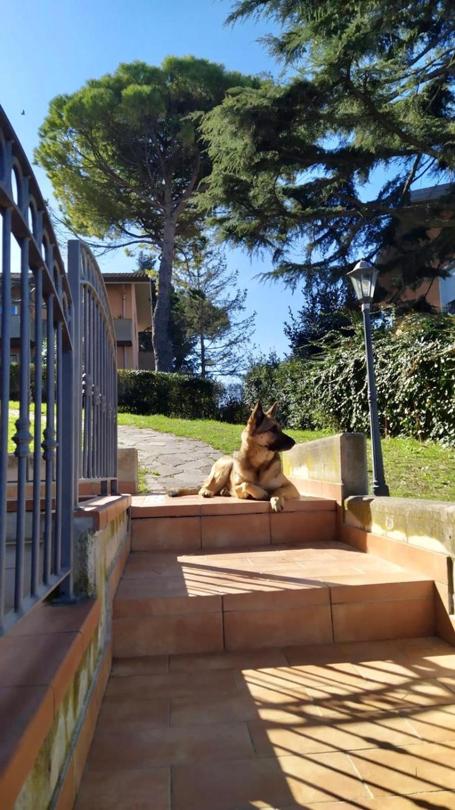 Appartamenti Pesaro Mare Ledimar Exterior foto